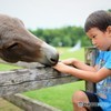 通じ合う♪