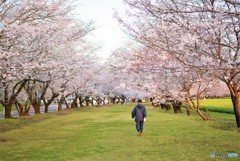 贅沢さんぽ♪