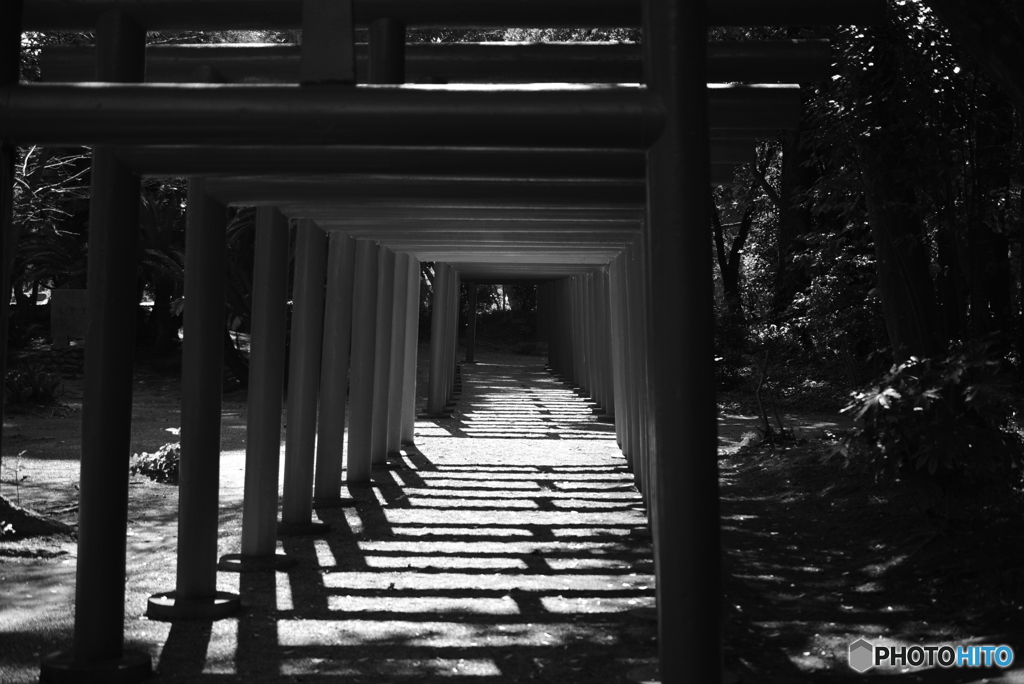 鳥居の先に