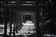 鳥居の先に