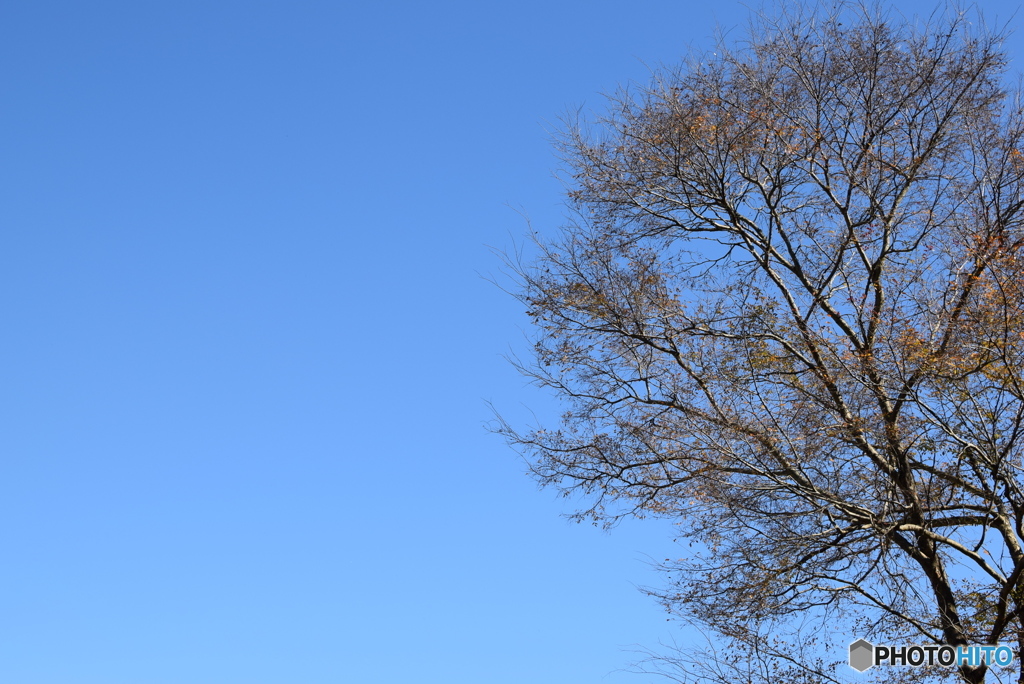 秋空