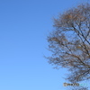 秋空