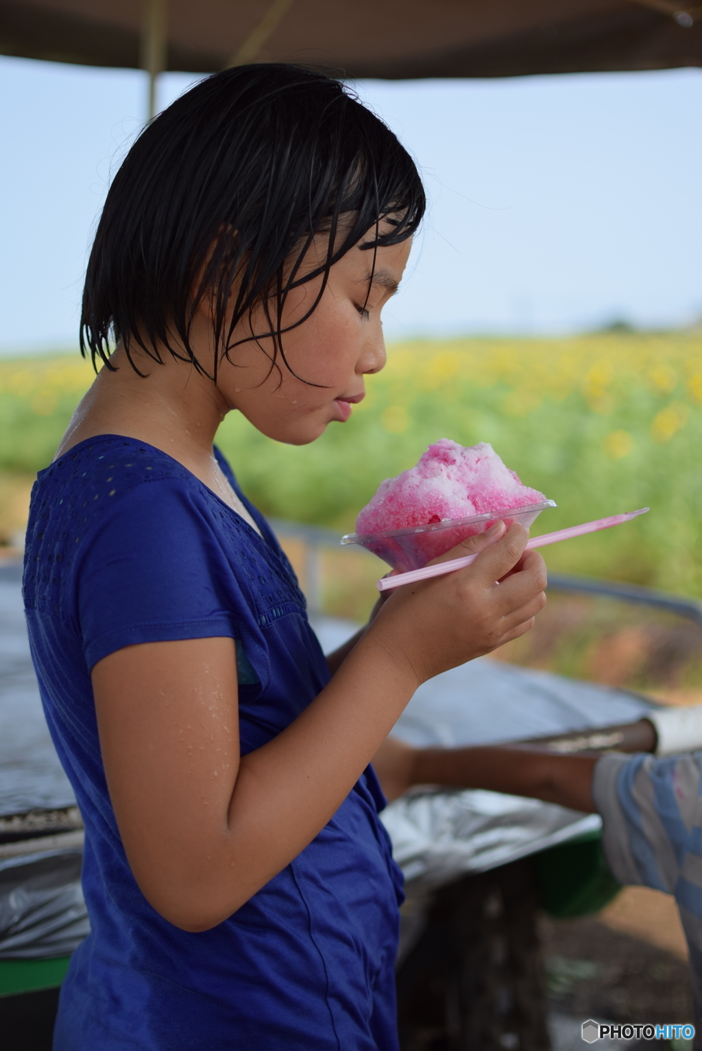 ひまわり畑で夏を食べる