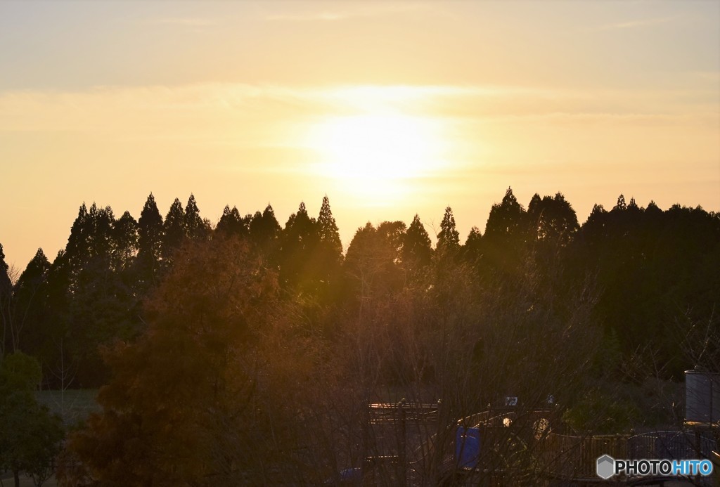 Sunset in the park♪