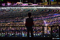 来年は、彼女と来たいな～♪