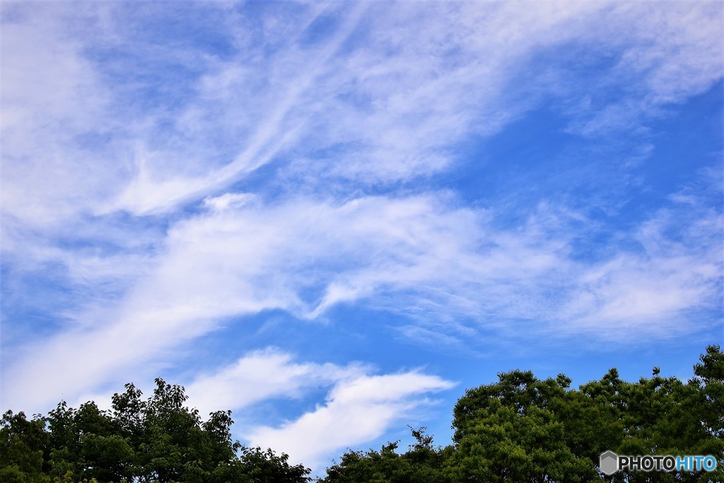 河童がいたらこんな顔？