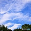 河童がいたらこんな顔？
