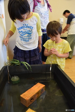 釣れないな～