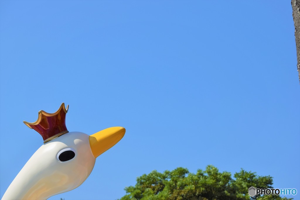 いつかは大空へ♪