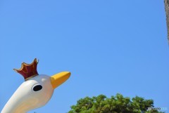 いつかは大空へ♪