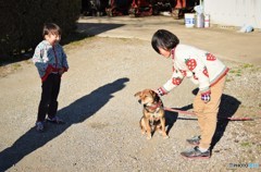 お茶屋さんのワン