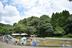 ある夏の日