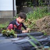おいもを植えよう！