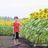 ひまわり畑のヒットマン♪