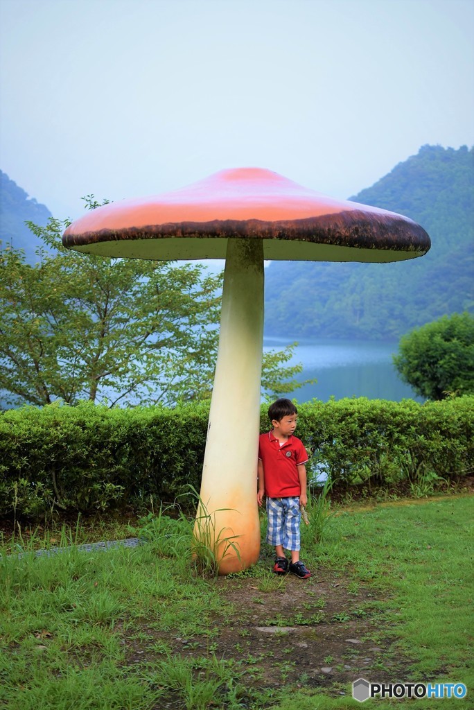 きのこのこのこ♪