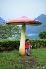 きのこのこのこ♪