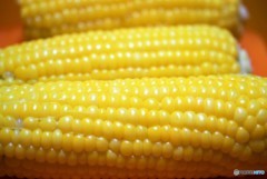 Flesh sweet corn♪