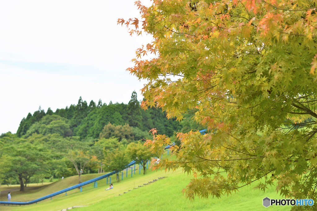 公園の風景♪