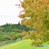 公園の風景♪