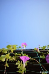 上を向いてあるこう♪