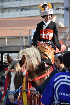 シャンシャン馬