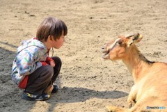 そうなんだ～大変だね(・.・;)