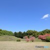 春の前方後円墳♪