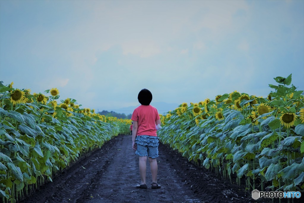 夏の終わりに♪