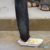 草食系女子のおやつ♪