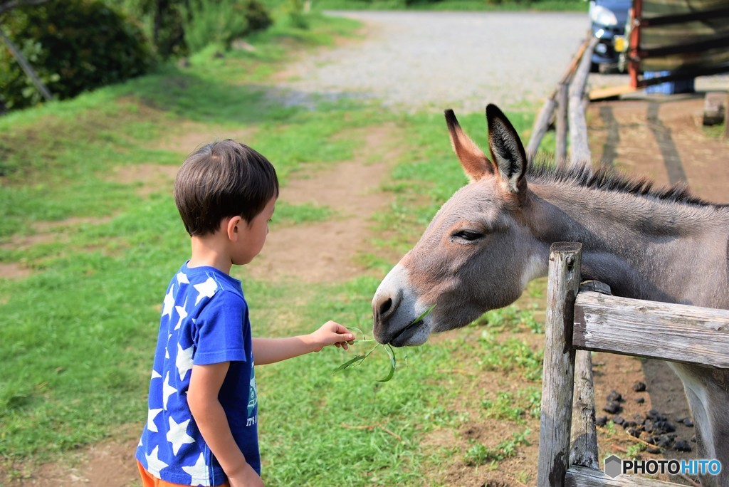 はい、召し上がれ♪
