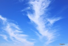 Blue sky 秋空♪