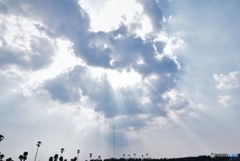 天使のはしご♪