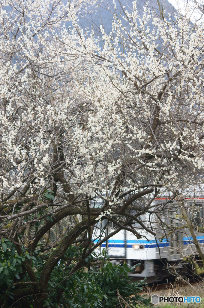 未来へ