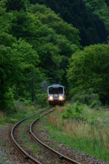 新緑のトンネルを抜ける