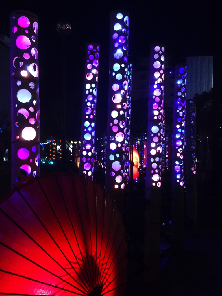 紫艶竹