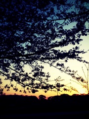 夕影