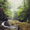 静寂の渓谷