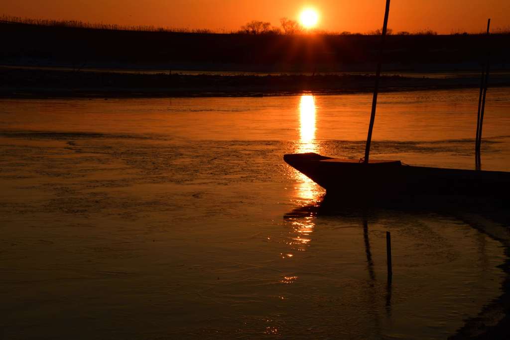 DSC_3929_00001