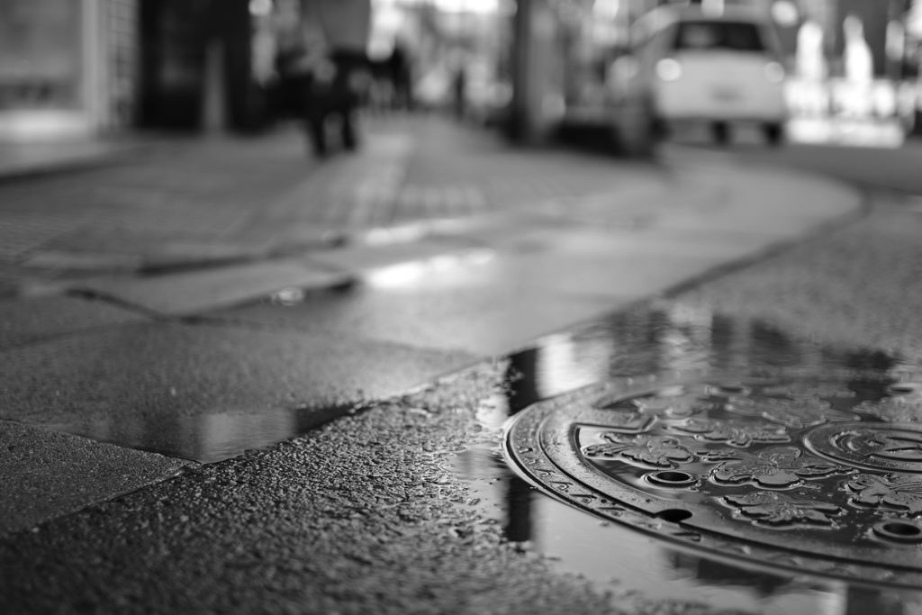 雨上がりー2