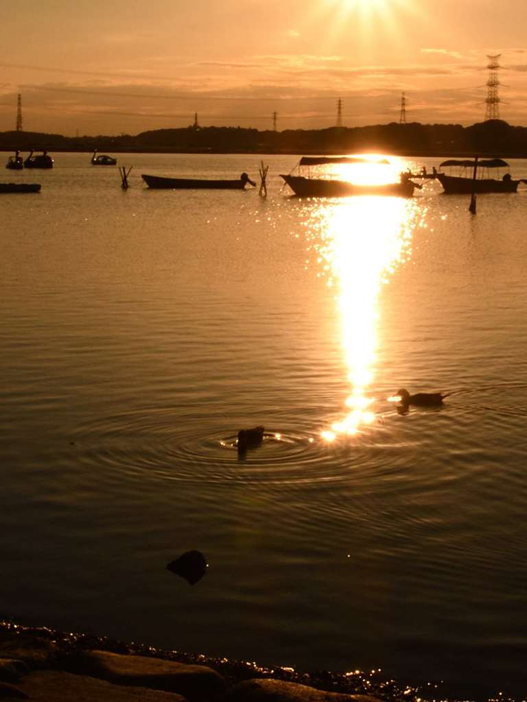 手賀沼の夕景