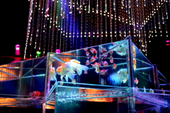 Art Aquarium 2015