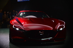 TOKYO MOTOR SHOW 2015