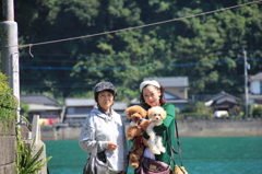 天草にて