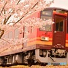 たぬき列車〜‼︎