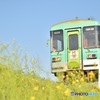 青い空、緑色の列車、黄色い菜の花