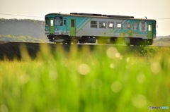 ある春の夕暮れ