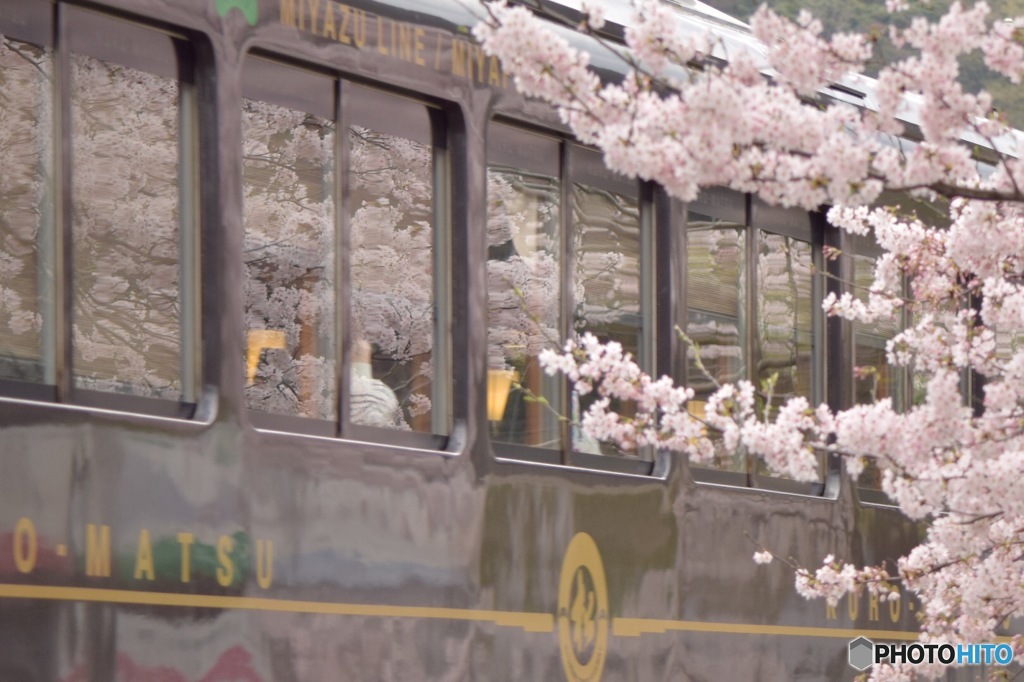 車窓の桜