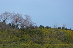 何でもない風景...