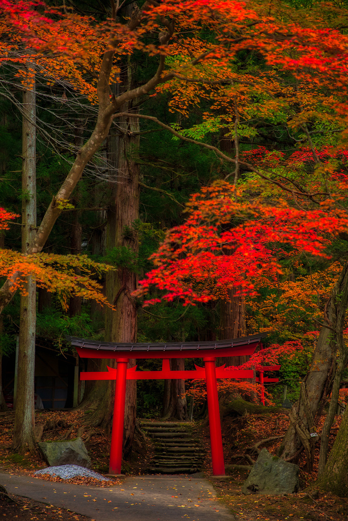 鳥居と紅葉