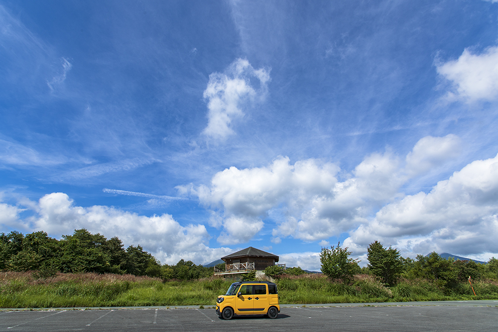 青空と相棒